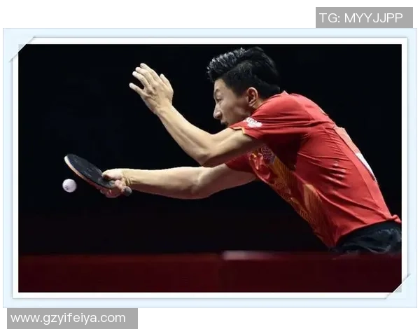 武汉乒乓球队进攻战术解析与深度剖析乒乓球竞技的魅力与挑战