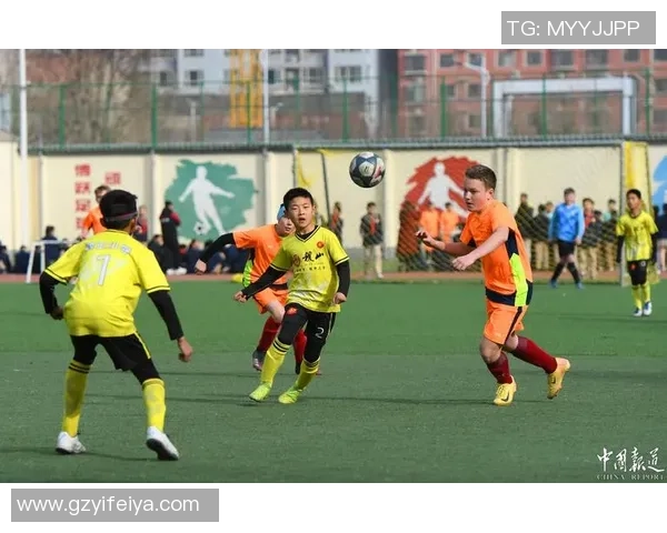 在绿茵场上与足球明星并肩作战的队友们的故事与荣耀 在绿茵场上与足球明星并肩作战的队友们的故事与荣耀