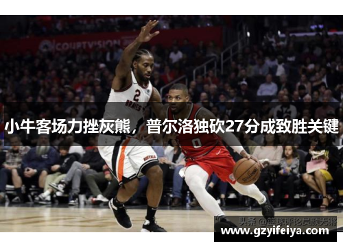 小牛客场力挫灰熊，普尔洛独砍27分成致胜关键
