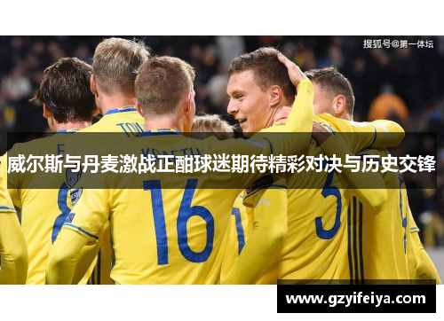 威尔斯与丹麦激战正酣球迷期待精彩对决与历史交锋